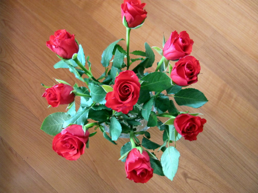 1575991 (a): :2560x1920